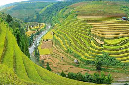 Rice-terraces-in-Mu-Cang-Chai