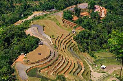 Trekking Adventure to Hoang Su Phi