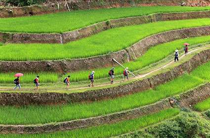 Trekking Adventure to Hoang Su Phi