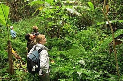 Trekking In Cat Ba