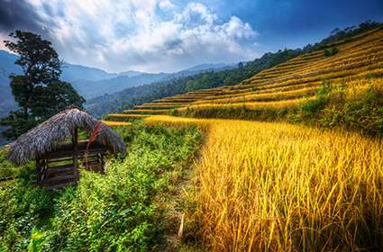 Trekking In Ha Giang Vietnam