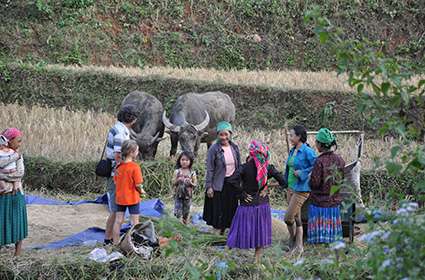 Trekking in Ba Be National Park