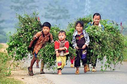 Trekking in Ha Giang