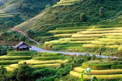 Trekking in Ha Giang 5 days 4 nights