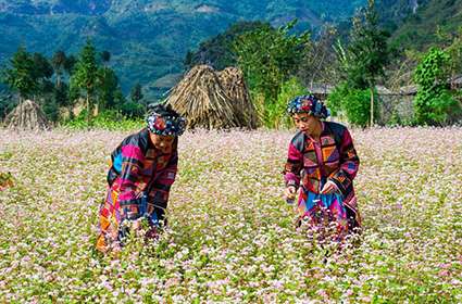 Trekking in Ha Giang 5 days 4 nights