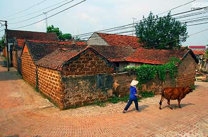 Trekking in Ha Giang