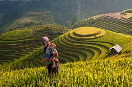 Trekking in Mu Cang Chai