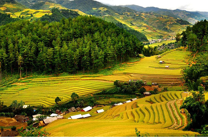 Mai-Chau-Hoa-Binh