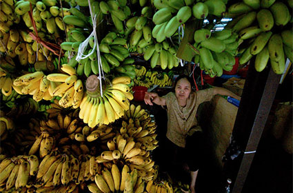 hanoi old quarter