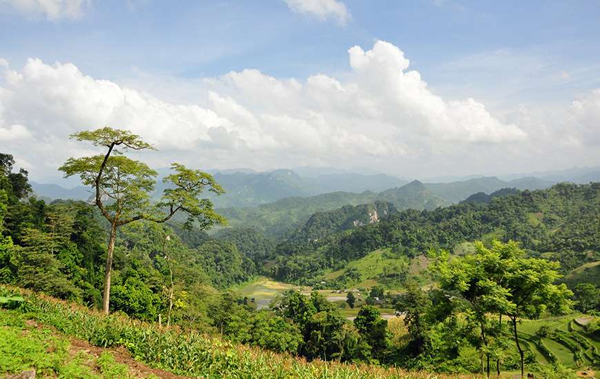 Trekking Tour in the park