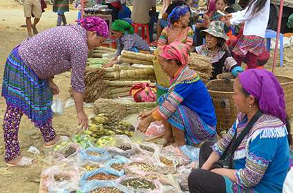 Bac Ha Market