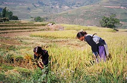 Black-Hmong-ethnic-people