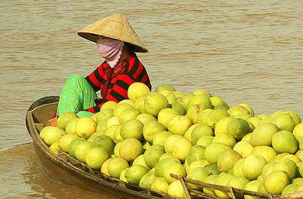 Cai Rang Floating Market