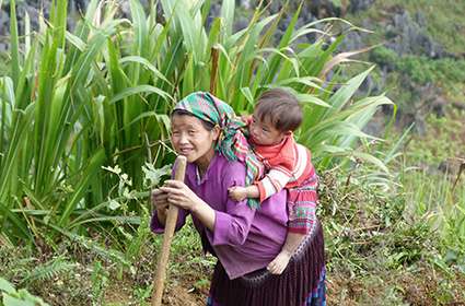 Hmong people in Dong Van