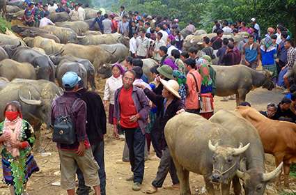 local people Bac Ha