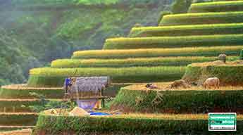 Les paysages du Vietnam, 15 jours et 14 nuits