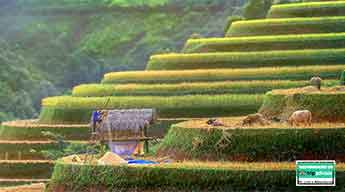 Landscapes of Vietnam 15 days 14 nights