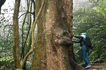 adventure to Cuc Phuong National Park