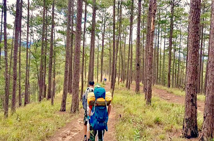 Jungle hike in the south of Dalat