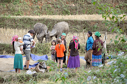 1 day Trekking in Ba Be National Park