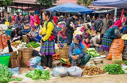 Vietnam motorbiking tour