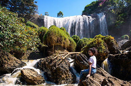 Elephant waterfall