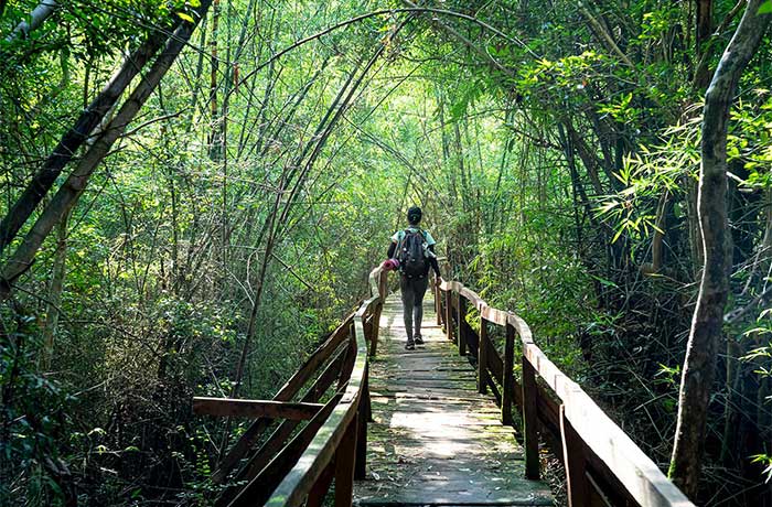 Parc national de Cat Tien - Dalat