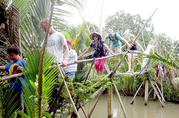 Monkey Bridge in Mekong Delta