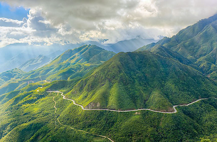 rice fields of Tu Le