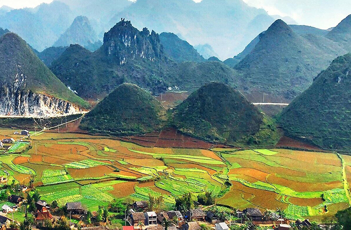 rice fields Ha Giang