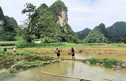 Northeast loop of Vietnam