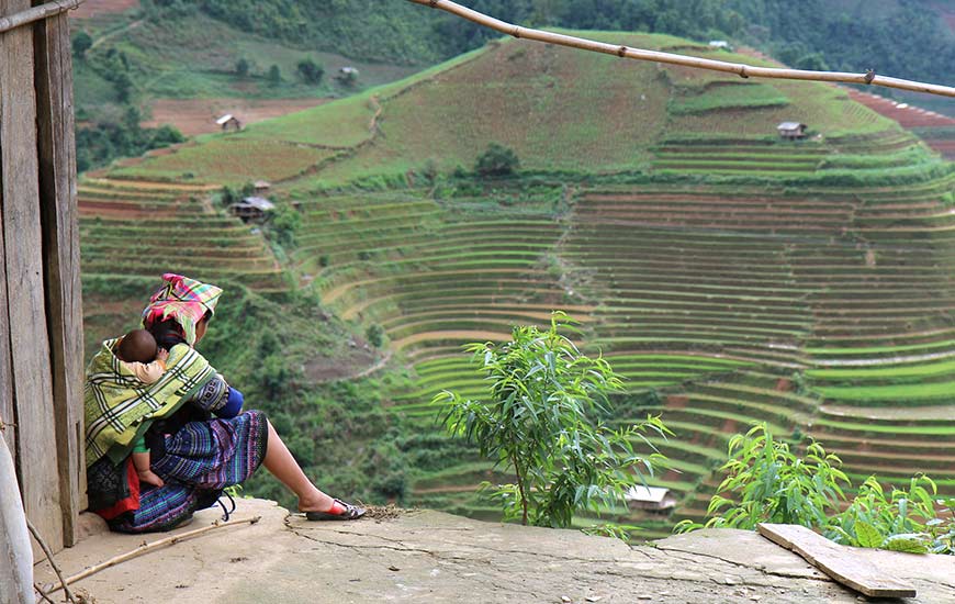 Mu Cang Chai