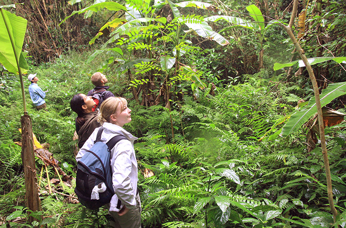 Trekking and Kayaking in Cat Ba