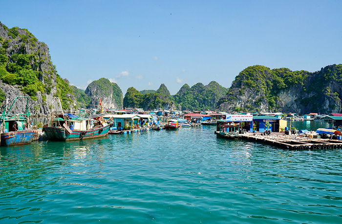 Trekking In Cat Ba