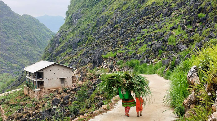 Trekking around Ha Giang 5 days 4 nights