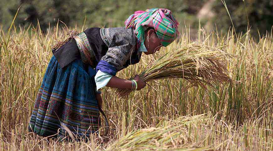 Hagiang, The remote North Vietnam 9 days 8 nights